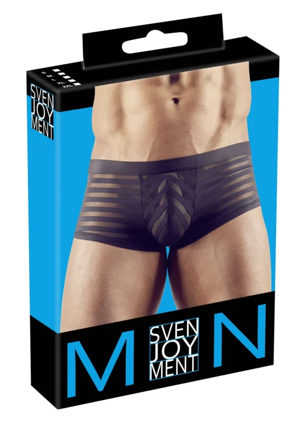 Svenjoyment โ Gestreepte Panty โ Semi Transparant