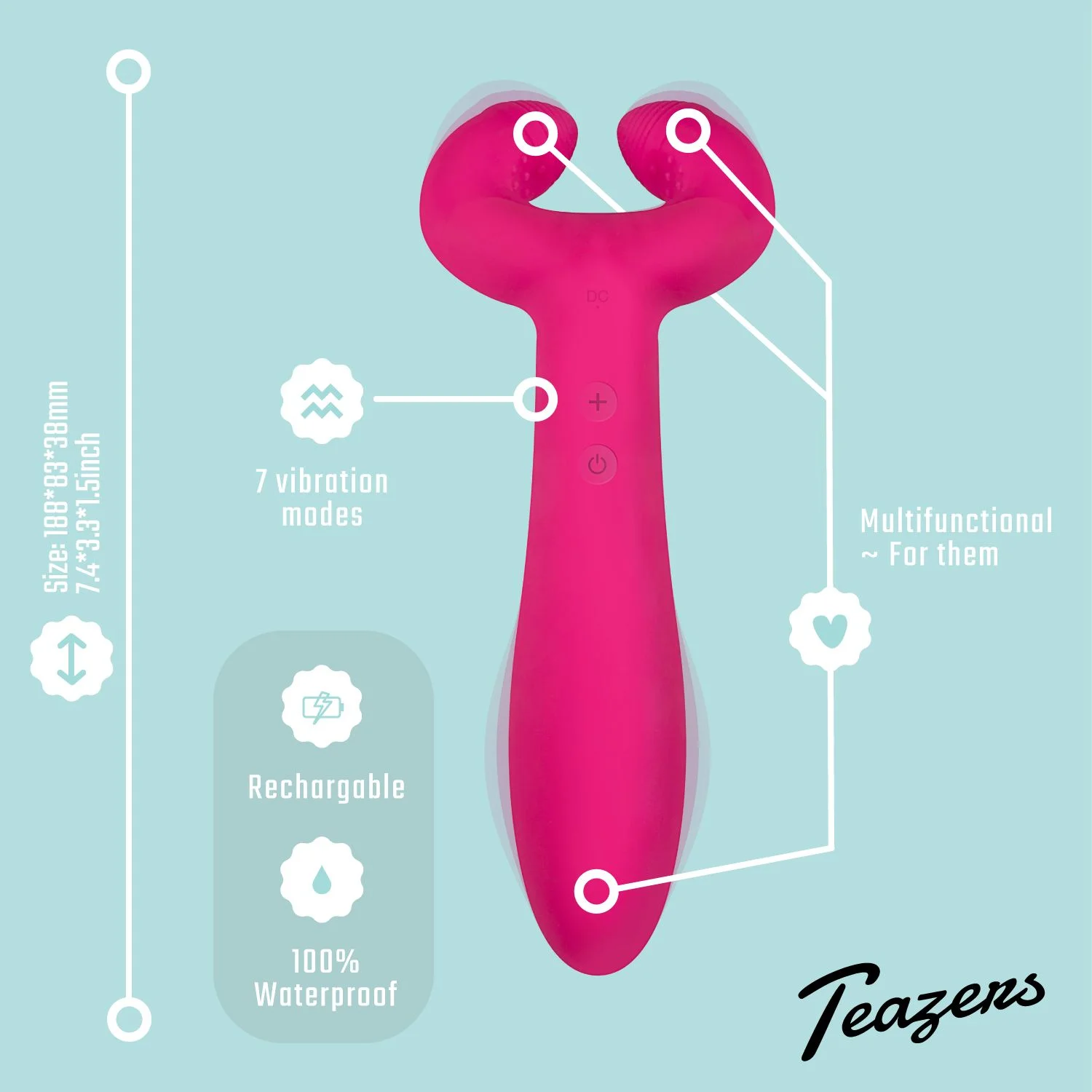 Teazers Pair Vibrator